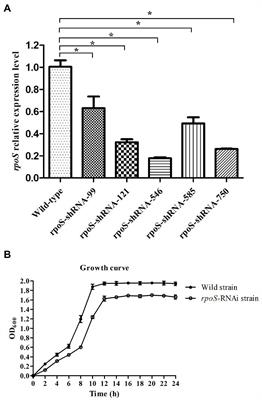 Transcriptomic and phenotype analysis revealed the role of rpoS in stress resistance and virulence of pathogenic Enterobacter cloacae from Macrobrachium rosenbergii